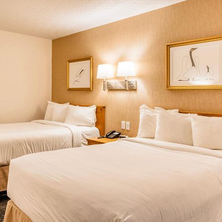 Motel Mistral Rouyn-Noranda Exterior foto